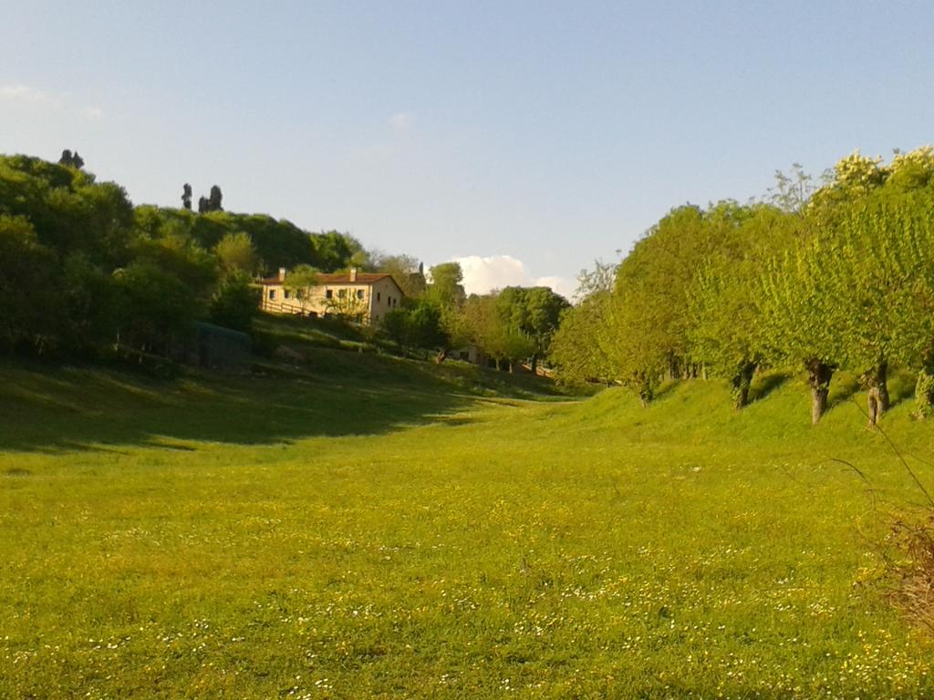 Casale La Rocchetta Bed and Breakfast Lonigo Eksteriør billede